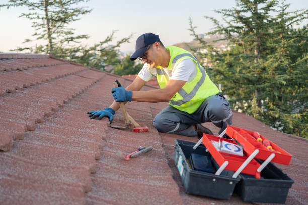 Best Roof Replacement Cost  in Bellwood, VA