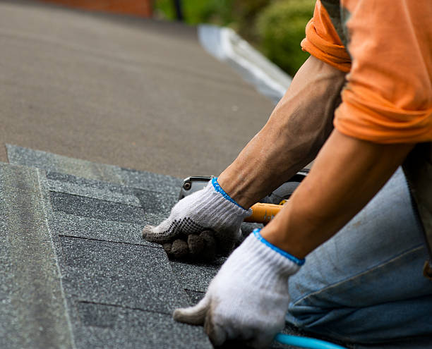 Best Roof Leak Repair  in Bellwood, VA