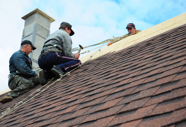 Best Flat Roof Repair Services  in Bellwood, VA
