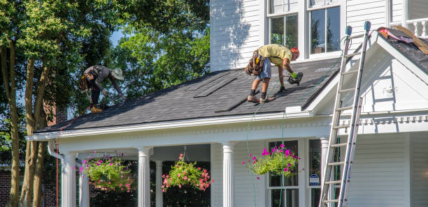 Best Roof Gutter Cleaning  in Bellwood, VA